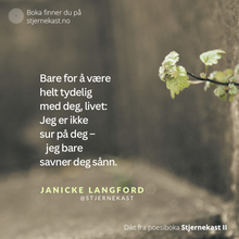 Last inn bildet i Galleri-visningsprogrammet, Stjernekast II